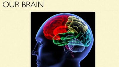 Learn about different types of trauma, the effects on our mind & body, and pathways for safe embodiment and healing Understanding how our brain responds to trauma and how it can support our growth in resilience.